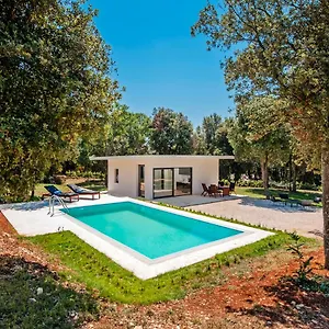 Villa David, Rovinj